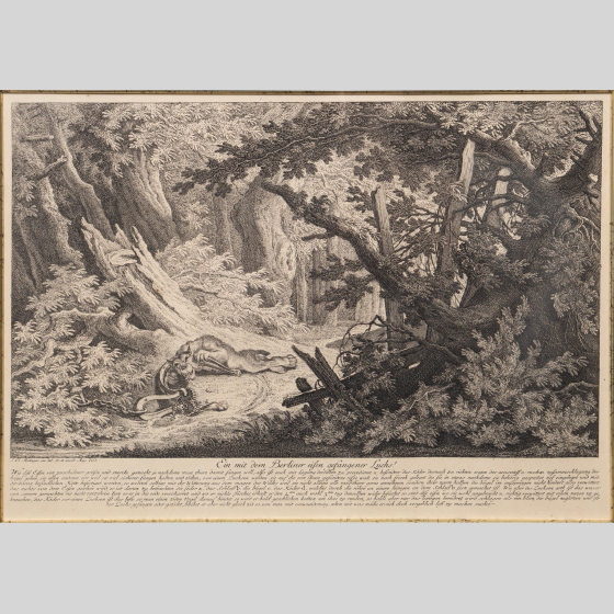 Гравюра «Охота на рысь с капканом», Германия, XVIII век Гравюра «Охота на рысь с капканом», Германия, XVIII век