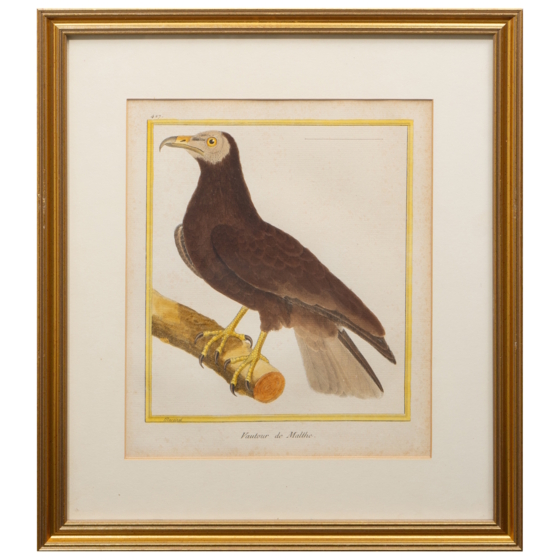 ​Гравюра «Мальтийский сокол», Франция, 1765-1770-е гг.