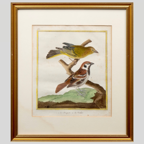 Гравюра «Воробей и зеленушка», Франция, 1765-1770-е гг.