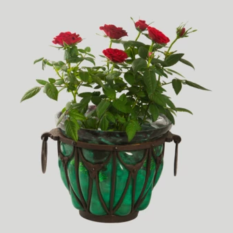 Related product image