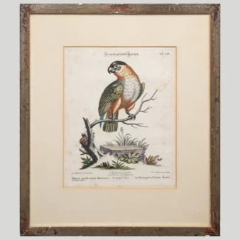 Related product image