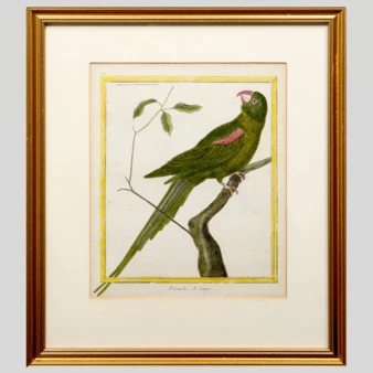 Related product image