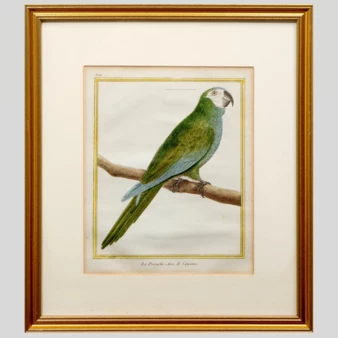Related product image