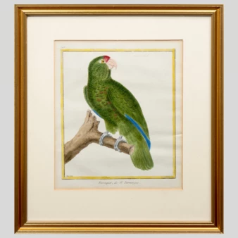 Related product image