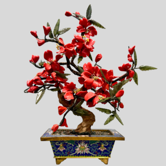 ​Бонсай, Китай, XX век