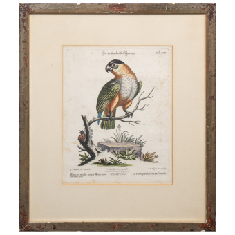 Серия гравюр 