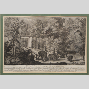 Гравюра «Дикие кабаны в загоне», Германия, XVIII век