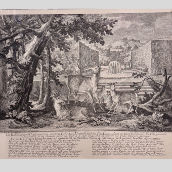 Гравюра «Косули и олени», Германия, XVIII век