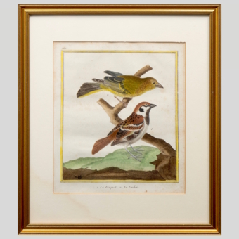 Гравюра «Воробей и зеленушка», Франция, 1765-1770-е гг.