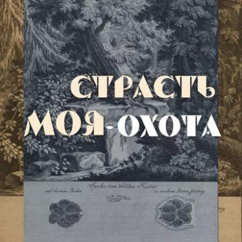 Выставка "Страсть моя - охота"