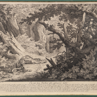 Гравюра «Охота на рысь с капканом», Германия, XVIII век