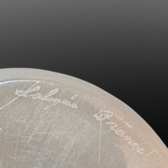 Скульптура "Кошка сидящая", Франция, фирма "Lalique", 1980 г., Р. Лалик